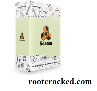 reason 11 crack